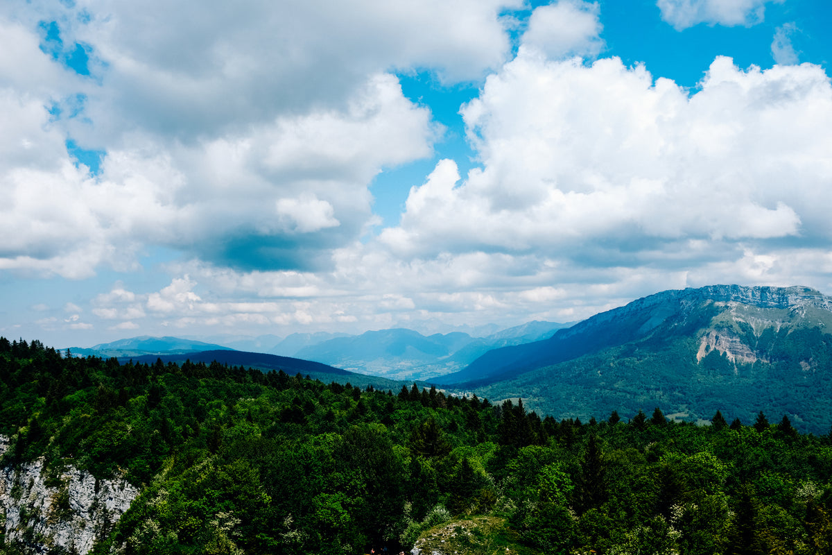 Grown in Greene County, Virginia.